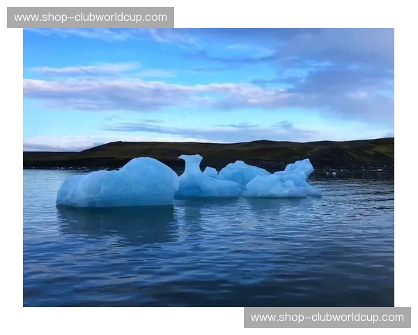 温哥华vs达拉斯：太平洋风情与德州热情的冰与火之歌